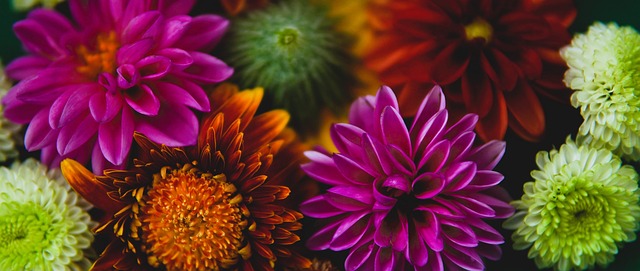 季中带来精 季中带来精