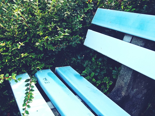 季中带来精 季中带来精