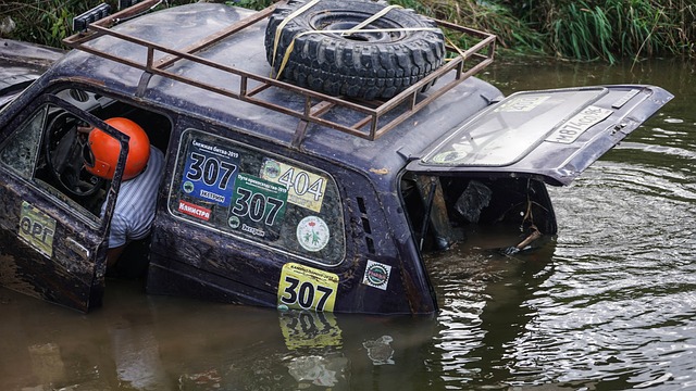 这些活动通 这些活动通