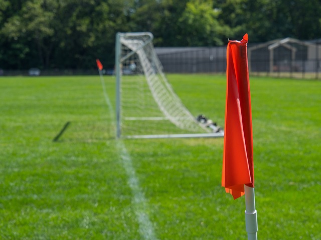 也推动了城 也推动了城