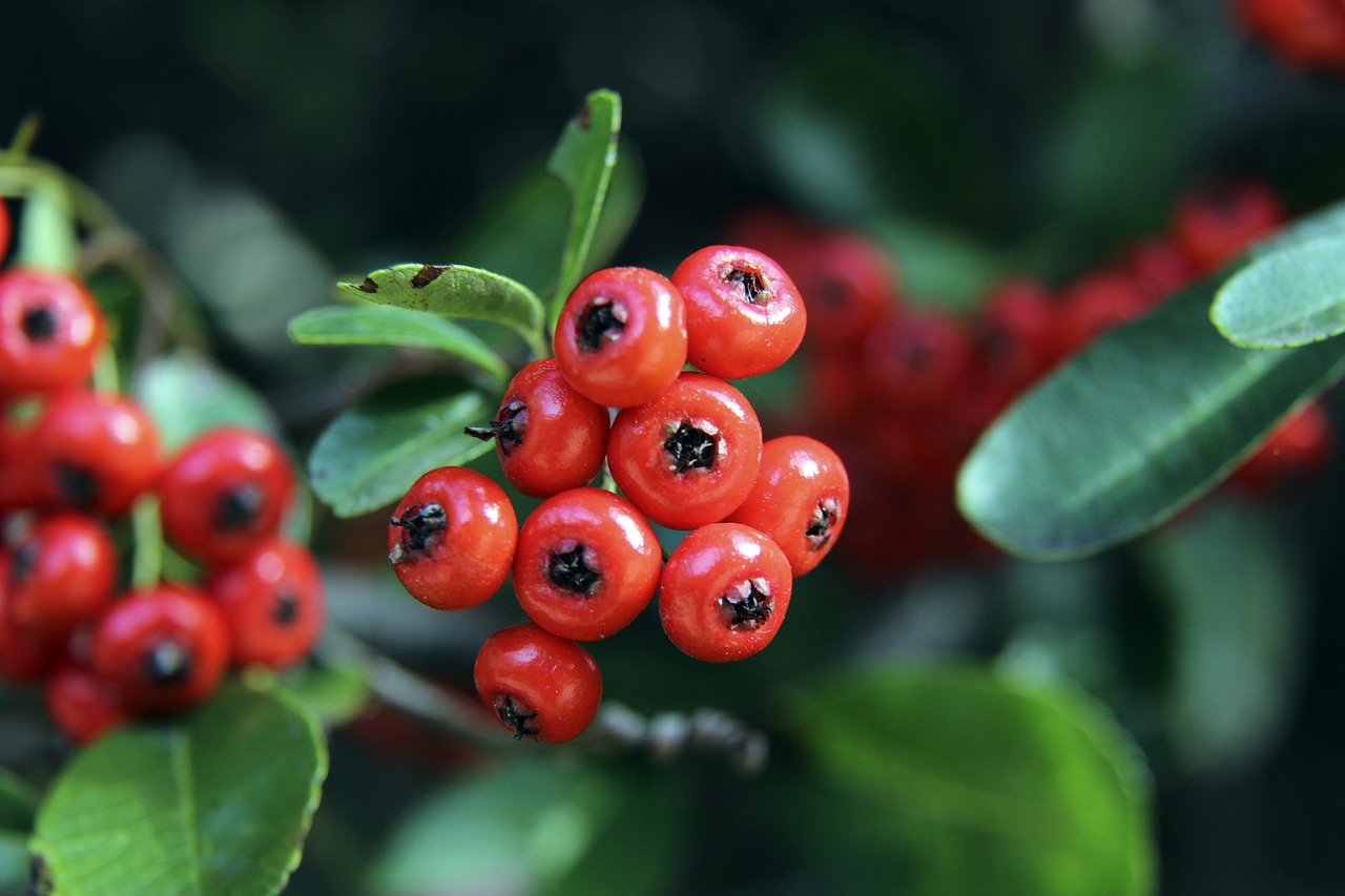 而无球跑动 而无球跑动