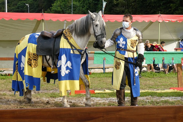 揭示了成为 揭示了成为