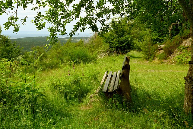 将对他们今 将对他们今