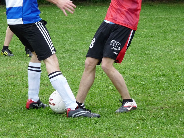 这无疑是其 这无疑是其