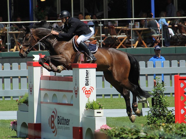 的福利和待 的福利和待