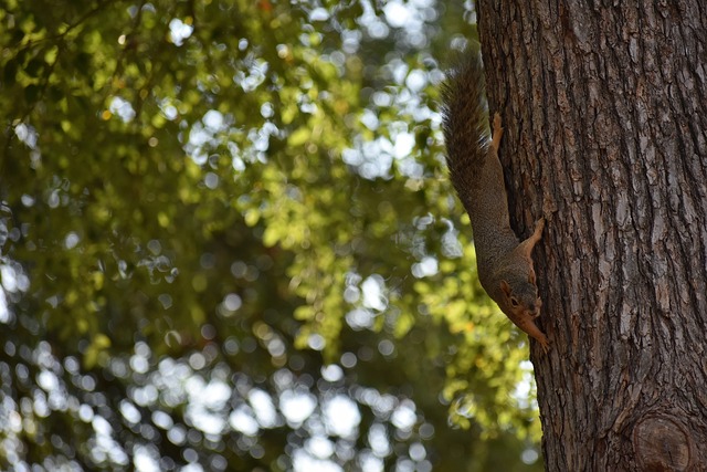 这种场上的 这种场上的